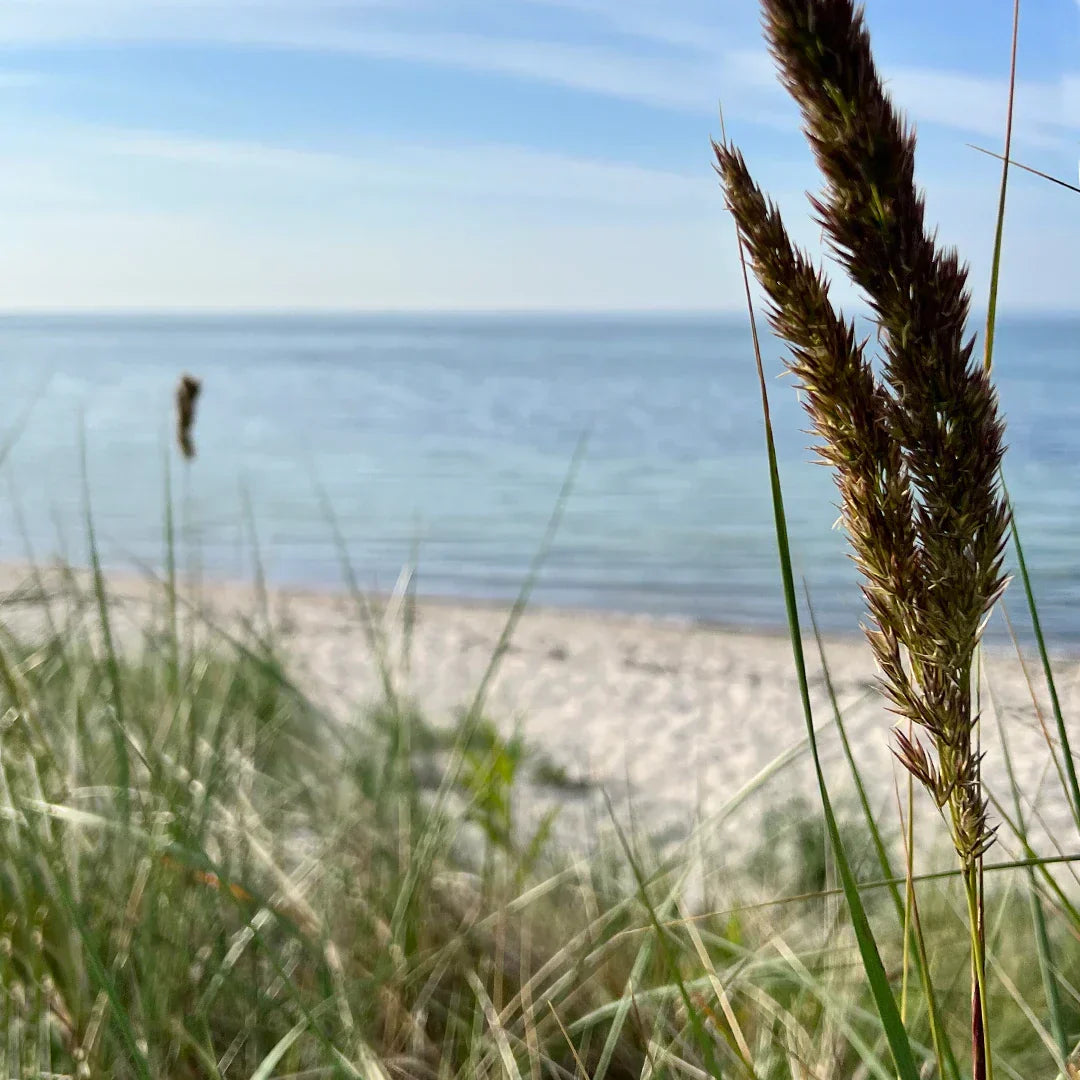 Meerweh: Warum wir das Meer vermissen, selbst wenn wir weit weg davon leben