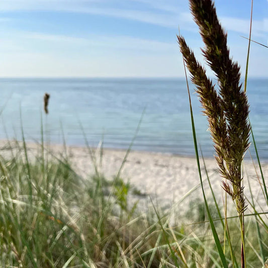 Meerweh: Warum wir das Meer vermissen, selbst wenn wir weit weg davon leben