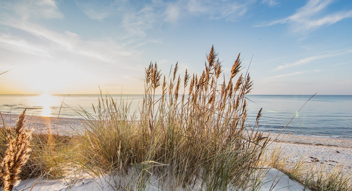 Zurfday Über Uns- Dühnen am Meer